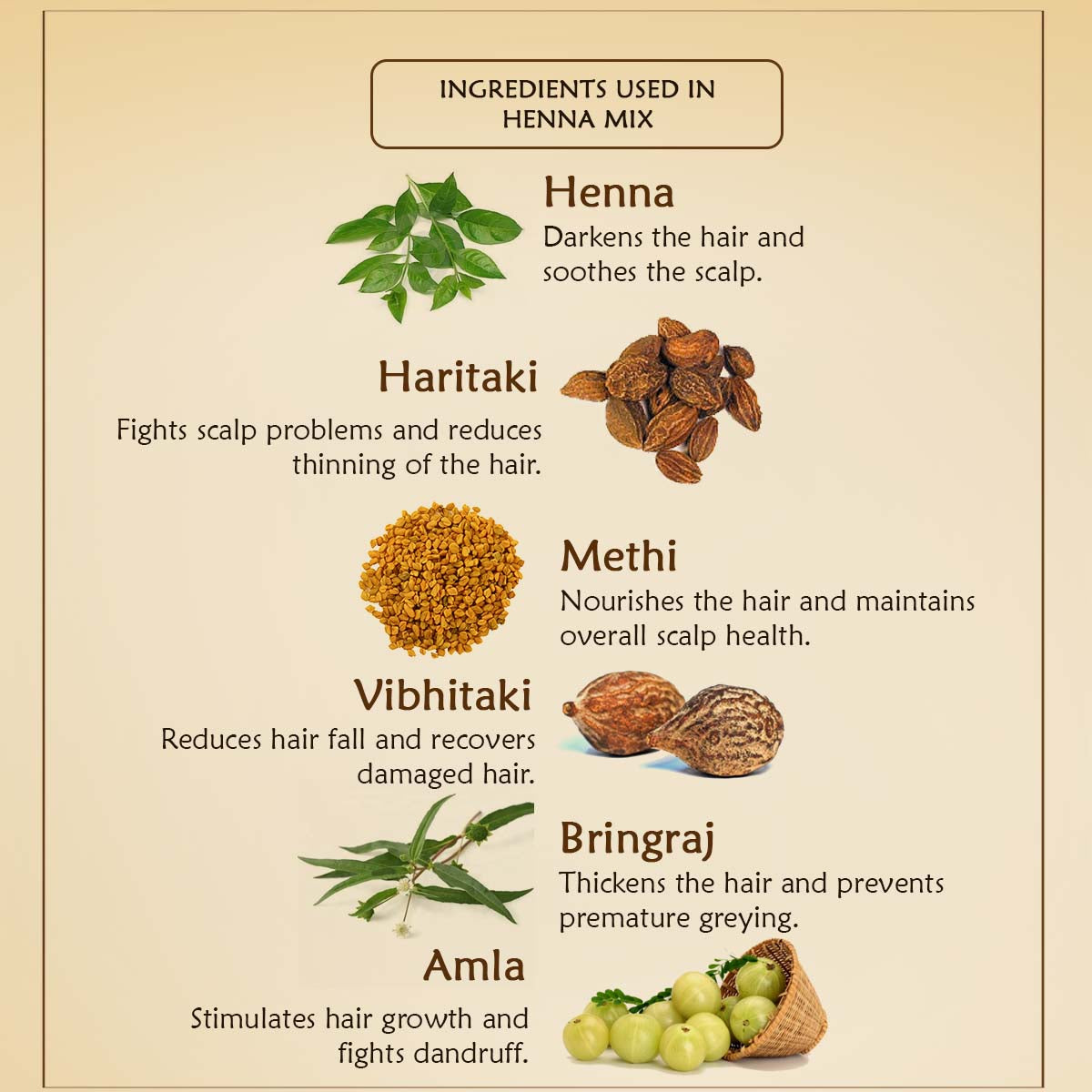 Henna Mix - Ancient Living