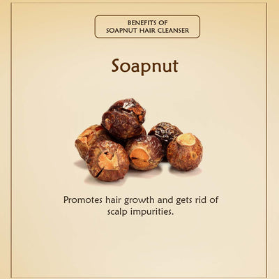 Soapnut Hair Cleanser - Ancient Living
