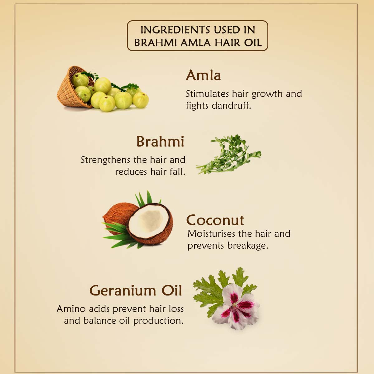 Brahmi & Amla  Hair Oil - Ancient Living