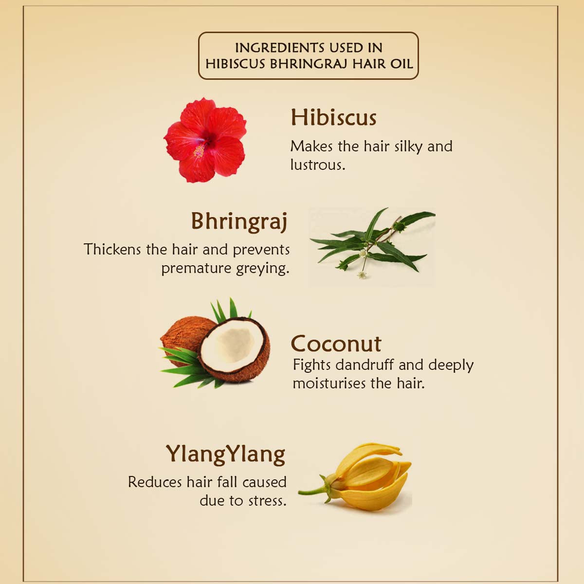 Hibiscus & Bhringraj Hair Oil - Ancient Living