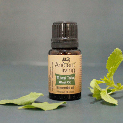 Basil Essential Oil - Ancient Living