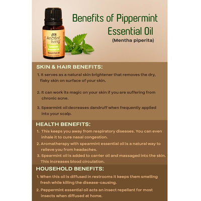 Peppermint Essential Oil - Ancient Living