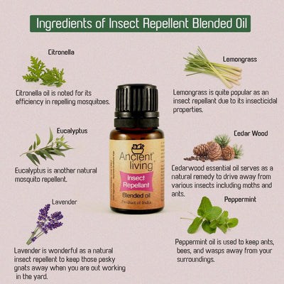 Insect Repellent Blended Oil - Ancient Living