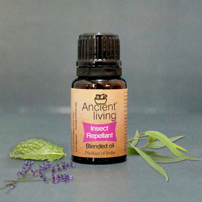 Insect Repellent Blended Oil - Ancient Living