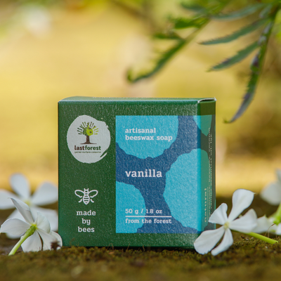 Artisanal Handmade 'Pebbles' Beeswax Soap - Vanilla - Last Forest